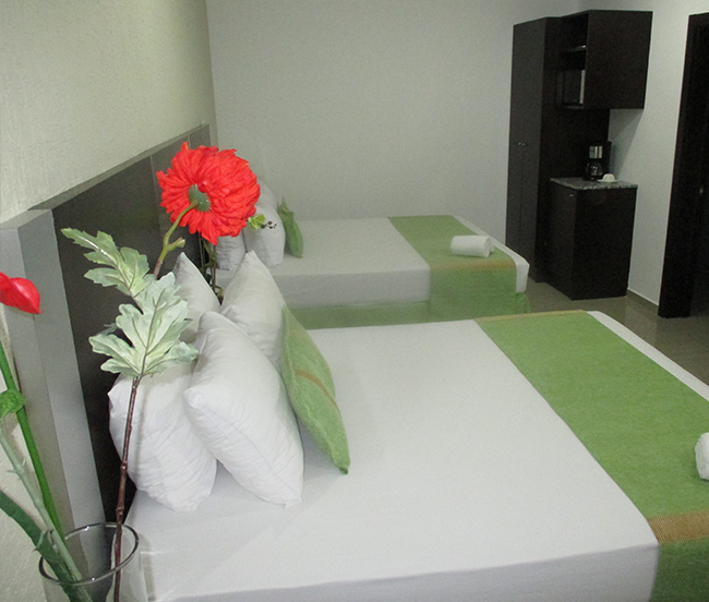 Hotel Colibri Suites