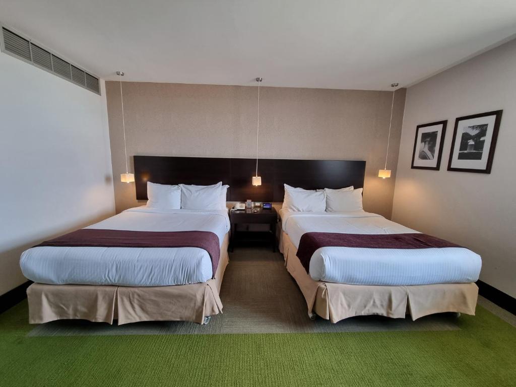 Trinitarias Suites