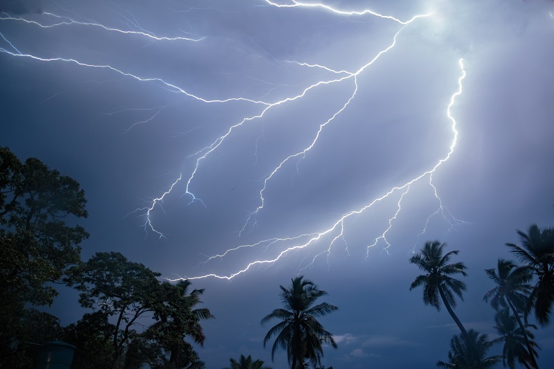 Tibisay Catatumbo